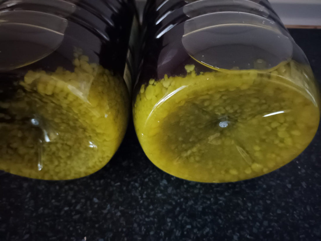 ¿Qué pasa si se congela el aceite de oliva?